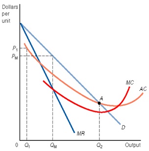 435_Cost curves and demand curve.jpg